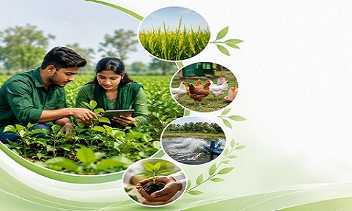 School of Agriculture & Rural Development